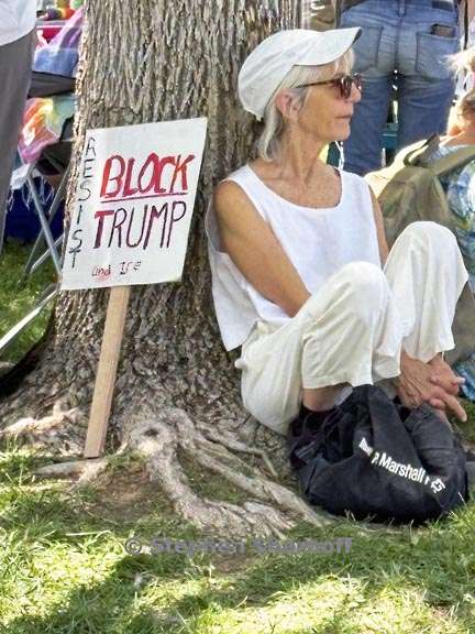 no kings albuquerque 15 graphic